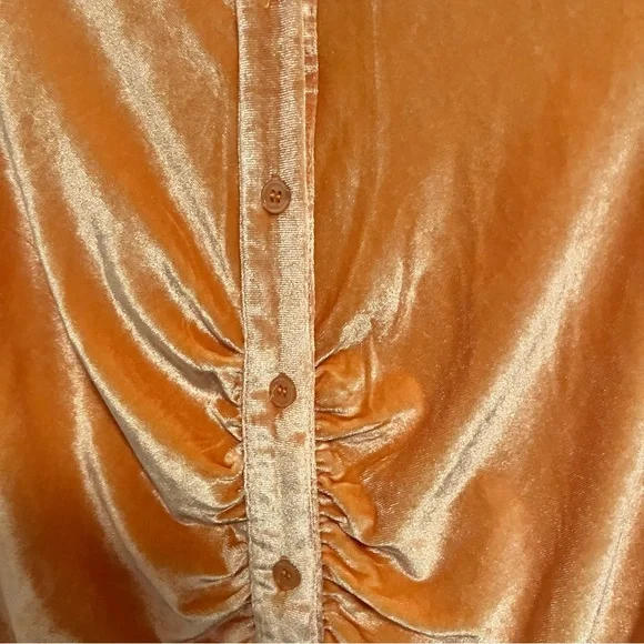 NWT Orange Cider Gathered Velvet
Dress - Picture 4 of 7
